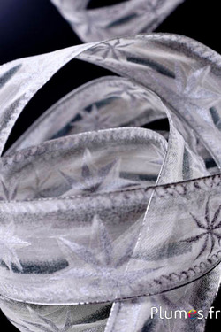 Ruban organza étoiles - largeur 40 mm - blanc-argenté  